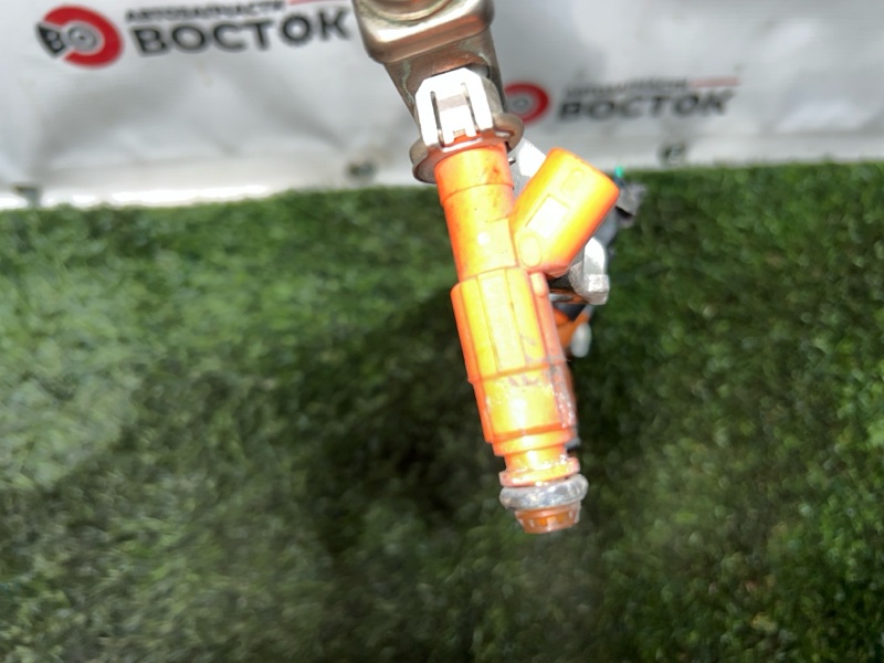 Форсунка топливная, 2500 рублей, Пешки