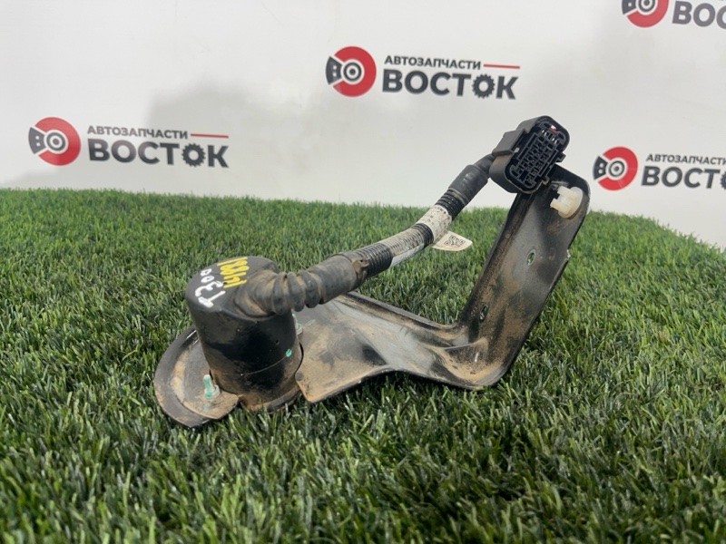 Розетка, 10000 рублей, Пешки