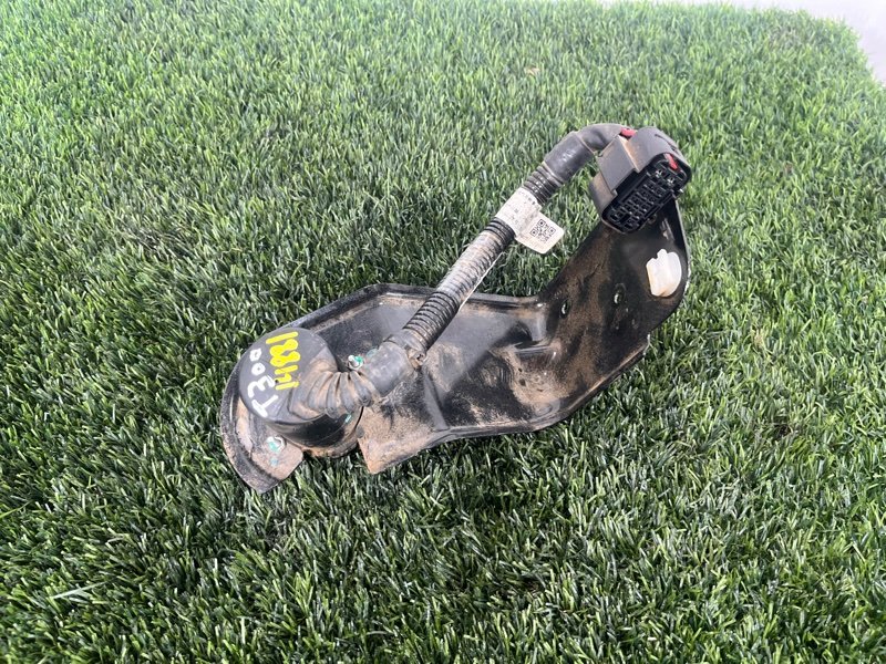 Розетка, 10000 рублей, Пешки