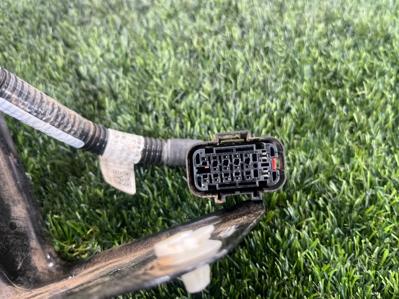 Розетка, 10000 рублей, Пешки