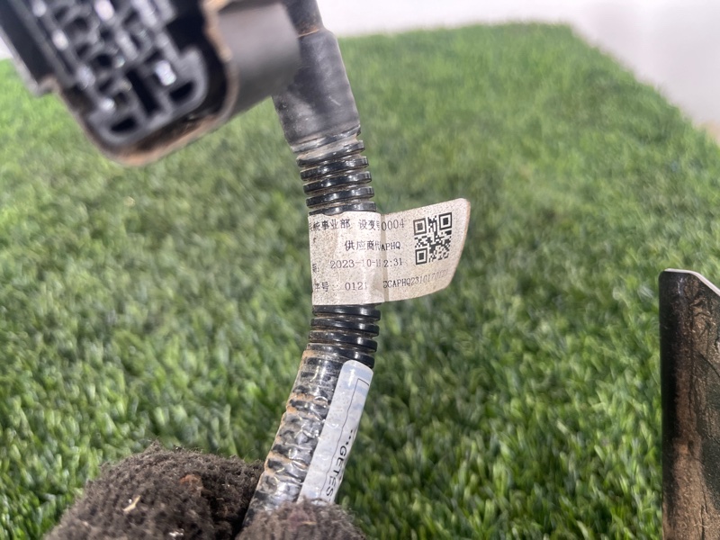 Розетка, 10000 рублей, Пешки