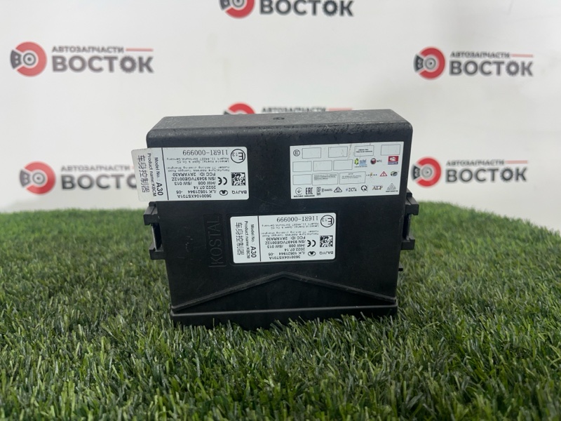 Блок комфорта, 2500 рублей, Пешки