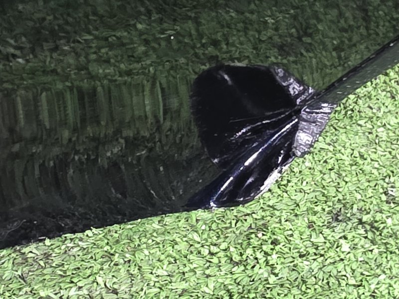 Дверь, 10000 рублей, Пешки