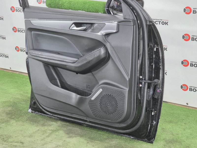 Дверь, 50000 рублей, Пешки