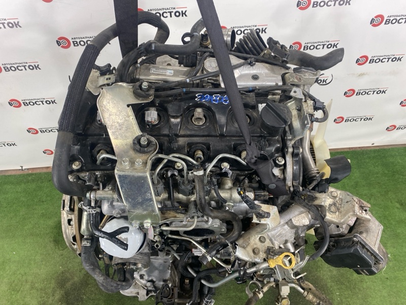 Двигатель, 240000 рублей, Пешки