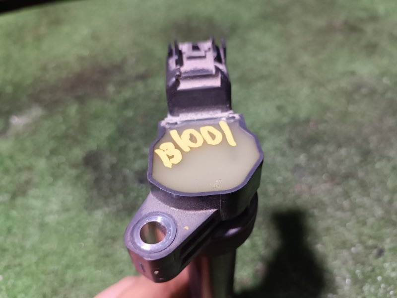 Катушка зажигания, 1200 рублей, Пешки