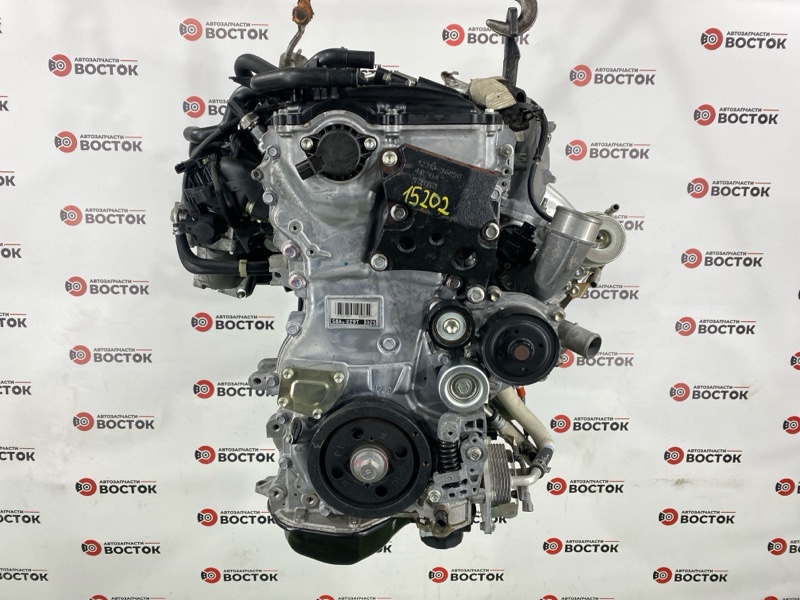 Двигатель, 550000 рублей, Пешки