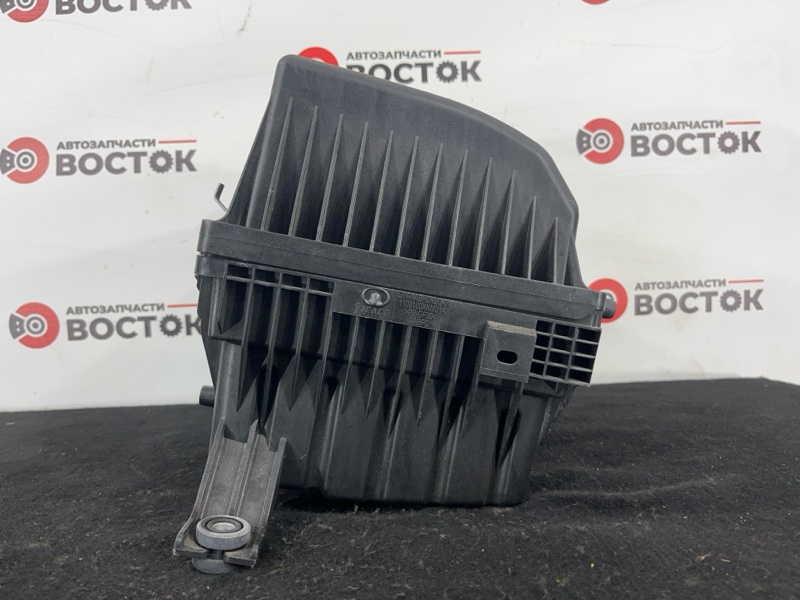 Корпус воздушного фильтра, 10000 рублей, Пешки