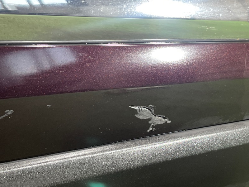 Дверь, 40000 рублей, Пешки