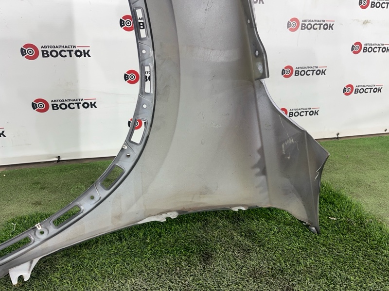 Крыло, 10000 рублей, Пешки