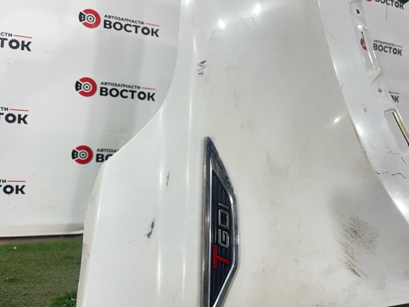 Крыло, 10000 рублей, Пешки