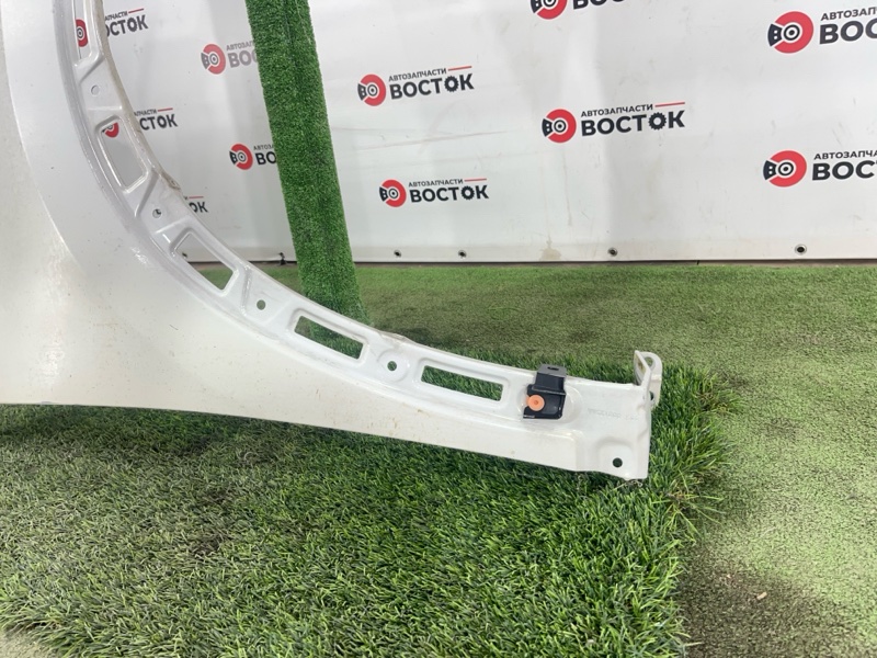 Крыло, 10000 рублей, Пешки