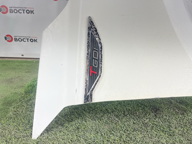 Крыло, 10000 рублей, Пешки