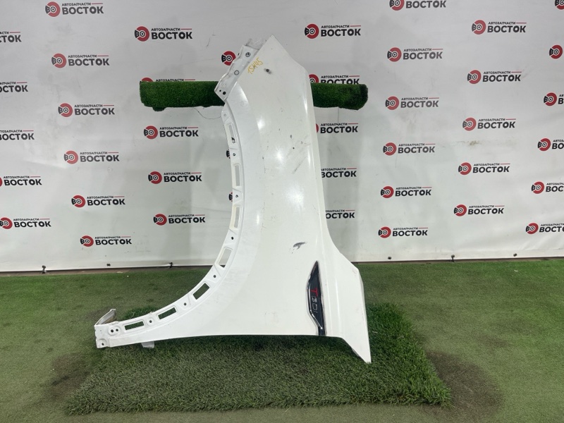 Крыло, 10000 рублей, Пешки