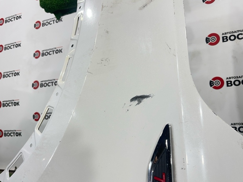 Крыло, 10000 рублей, Пешки