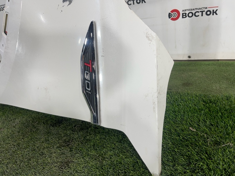 Крыло, 10000 рублей, Пешки