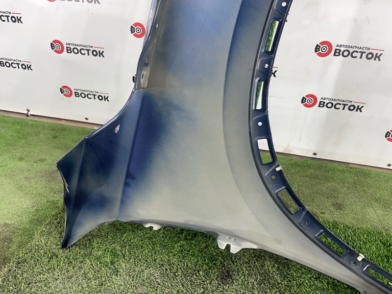 Крыло, 10000 рублей, Пешки