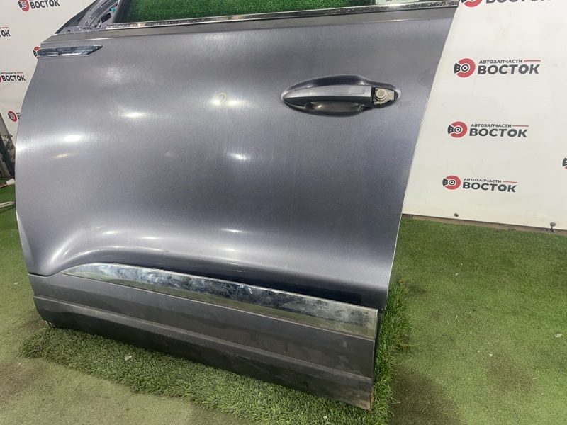 Дверь, 50000 рублей, Пешки