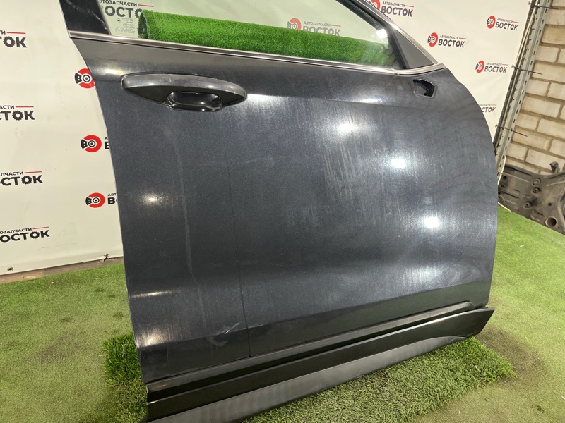 Дверь, 50000 рублей, Пешки