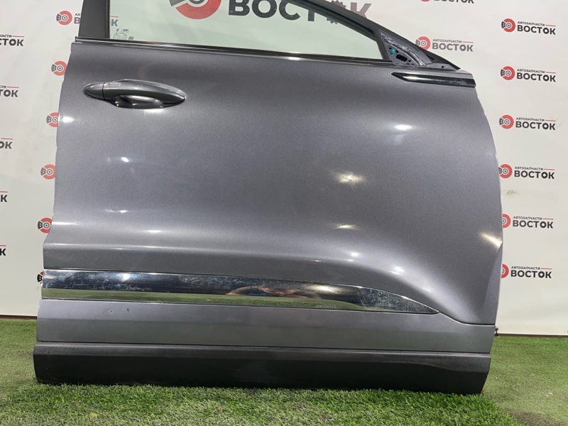 Дверь, 50000 рублей, Пешки