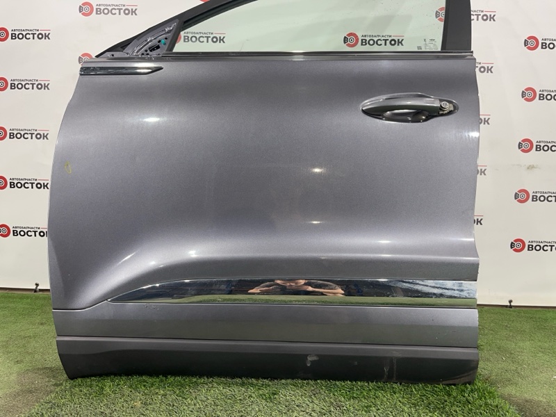 Дверь, 50000 рублей, Пешки