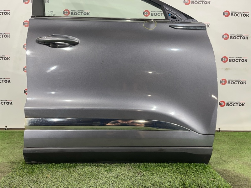 Дверь, 50000 рублей, Пешки