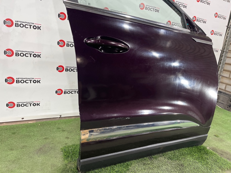 Дверь, 50000 рублей, Пешки