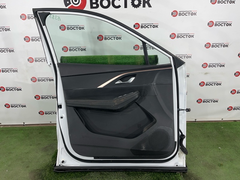 Дверь, 45000 рублей, Пешки