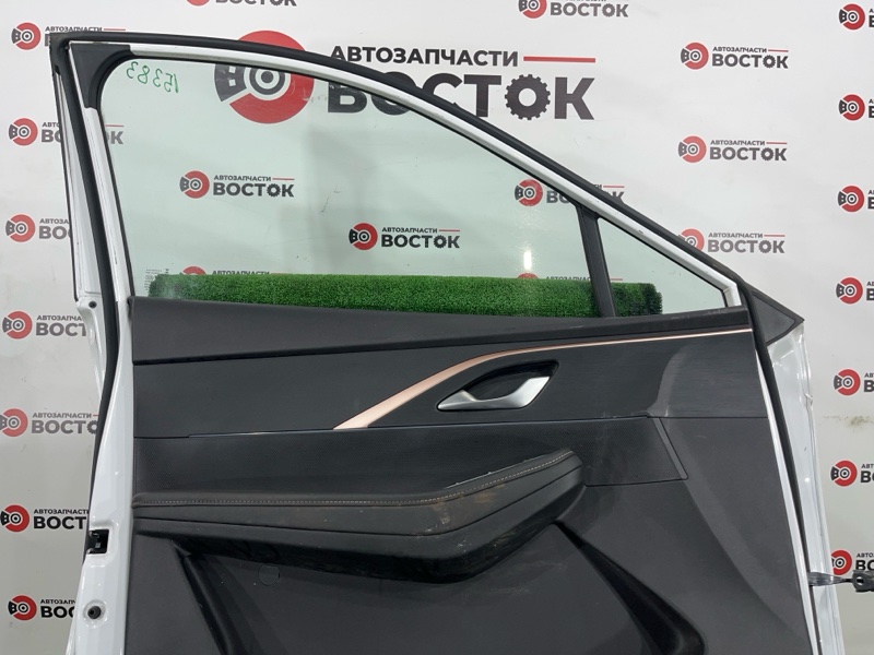 Дверь, 45000 рублей, Пешки