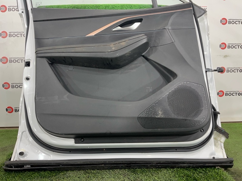 Дверь, 45000 рублей, Пешки