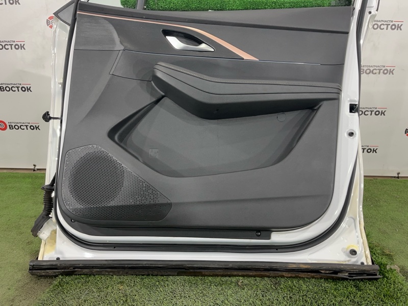 Дверь, 45000 рублей, Пешки