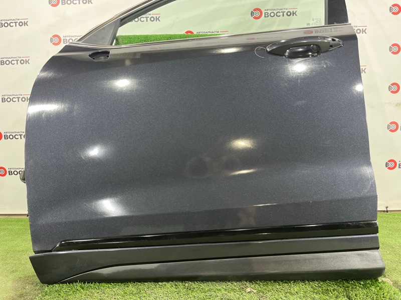 Дверь, 50000 рублей, Пешки