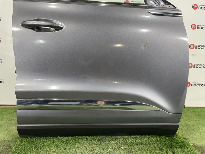 Дверь, 50000 рублей, Пешки