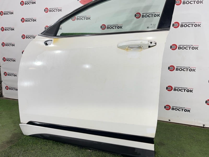 Дверь, 50000 рублей, Пешки