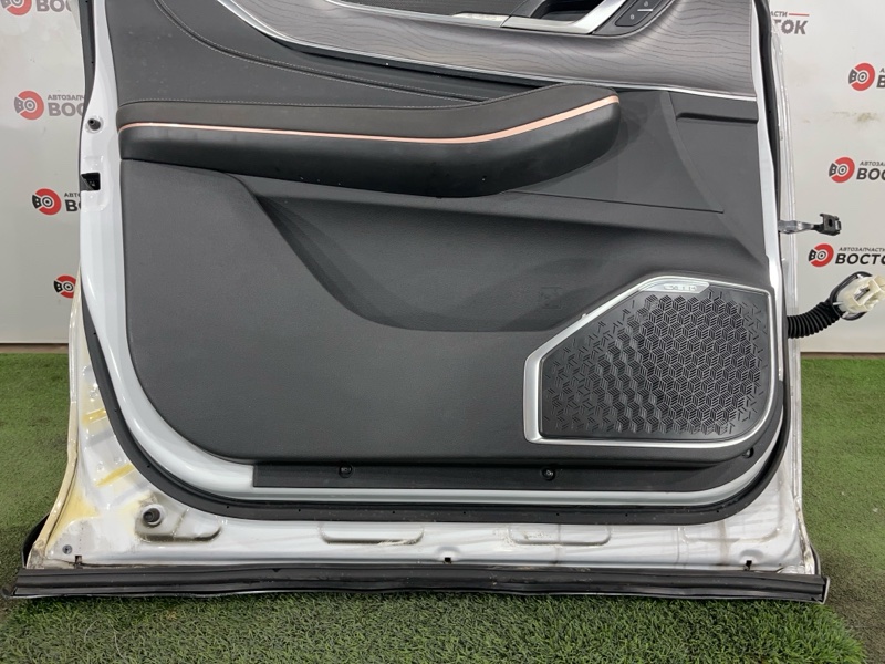 Дверь, 50000 рублей, Пешки