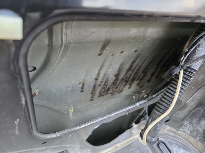 Крыло, 100000 рублей, Пешки