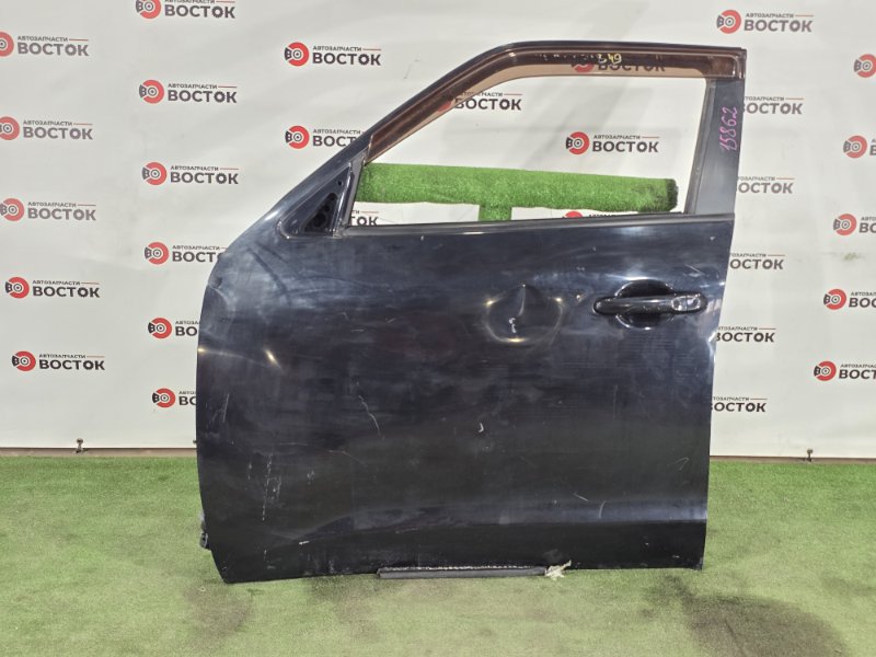 Дверь, 15000 рублей, Пешки