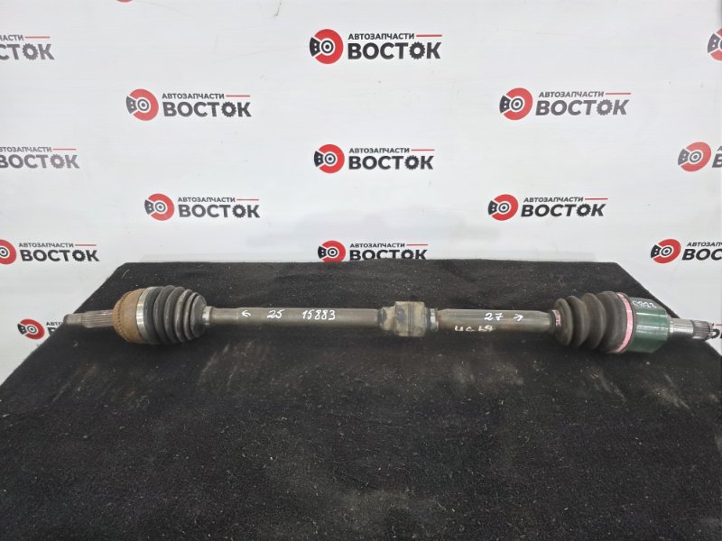 Привод, 10000 рублей, Пешки