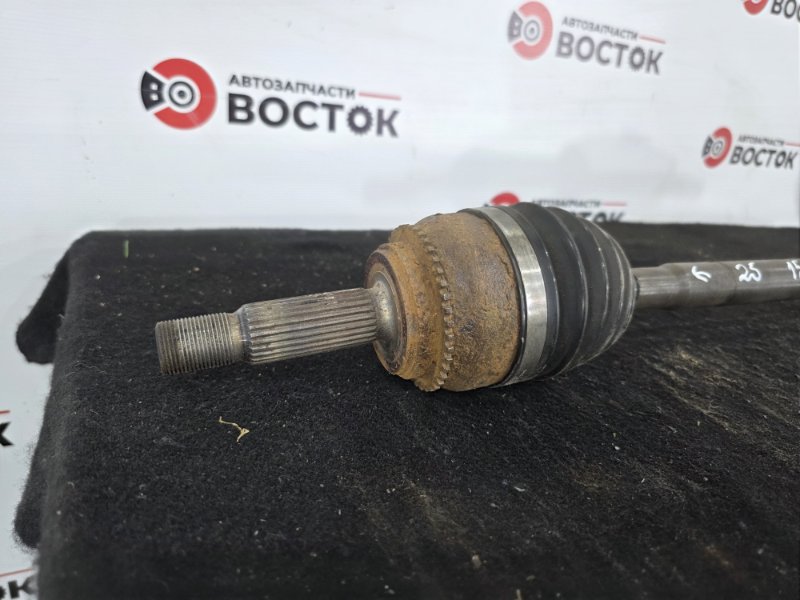 Привод, 10000 рублей, Пешки