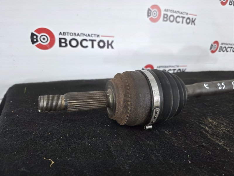 Привод, 10000 рублей, Пешки