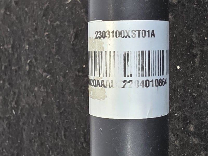 Привод, 15000 рублей, Пешки