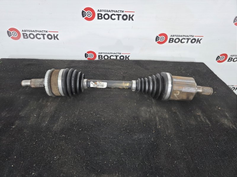 Привод, 28000 рублей, Пешки