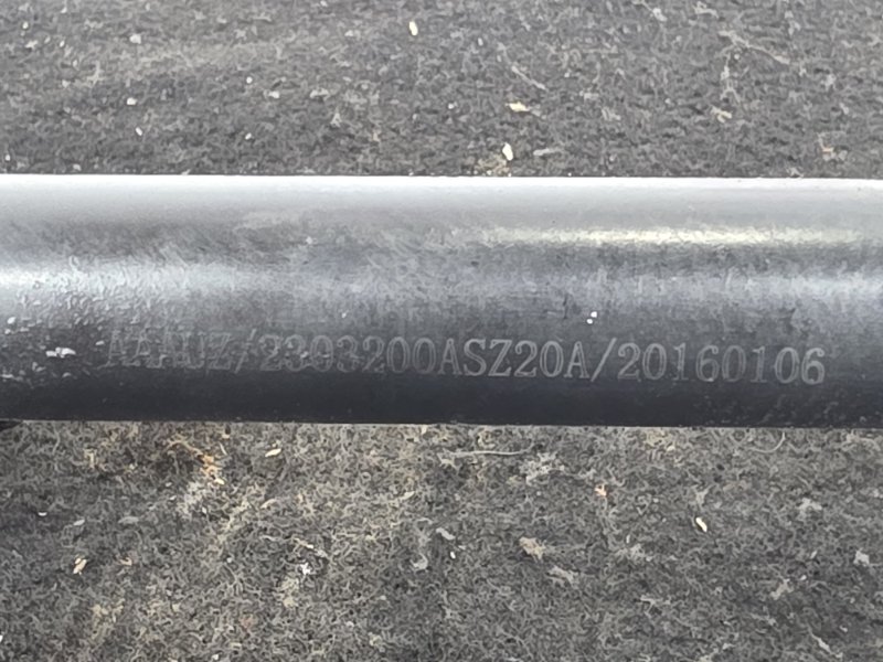 Привод, 20000 рублей, Пешки