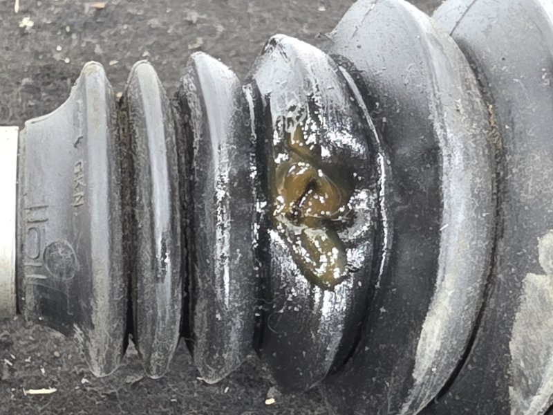 Привод, 7000 рублей, Пешки