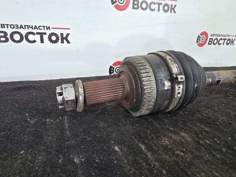 Привод, 10000 рублей, Пешки