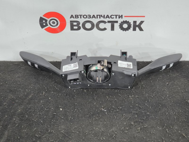 Блок подрулевых переключателей, 10000 рублей, Пешки