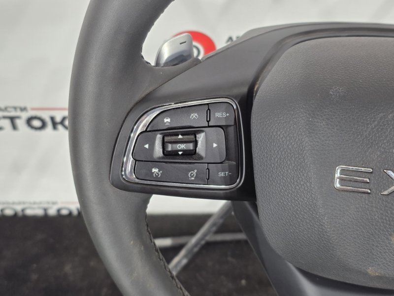 Руль, 20000 рублей, Пешки