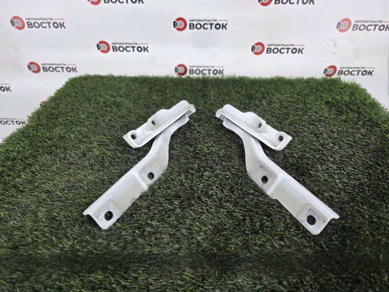 Петля капота, 2500 рублей, Пешки