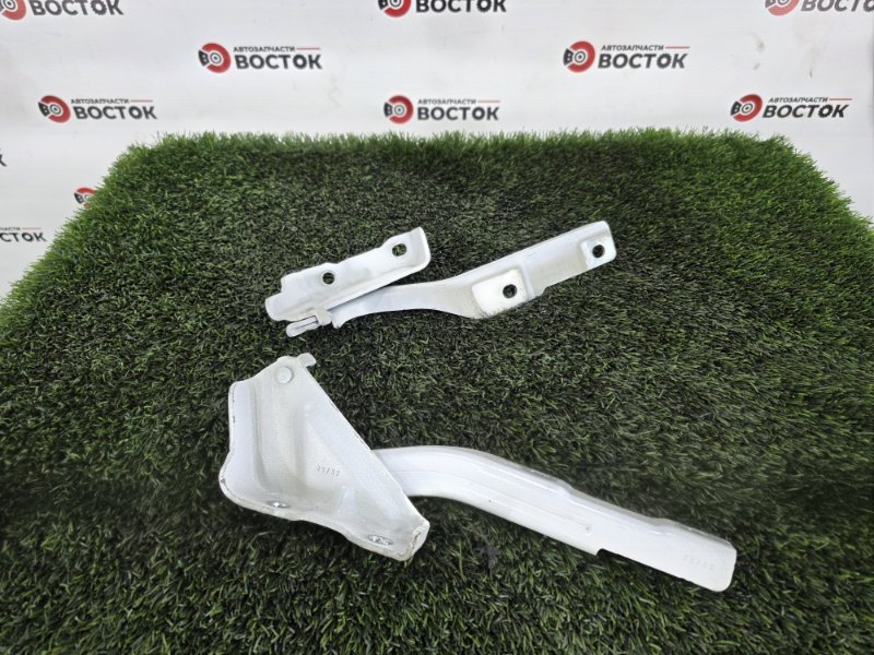 Петля капота, 2500 рублей, Пешки