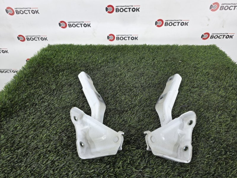 Петля капота, 2500 рублей, Пешки